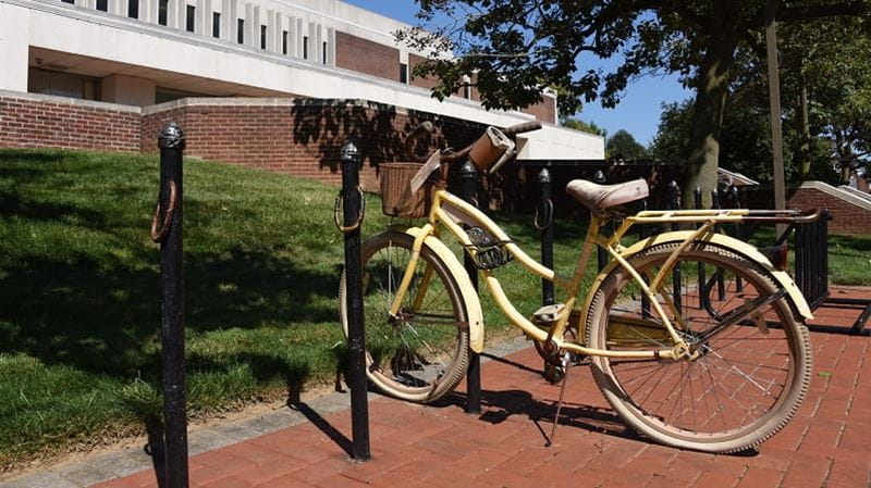 vélo garer à l'entrer d'une université